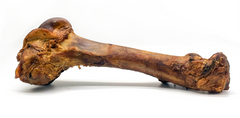 Green Woof Monster Bone