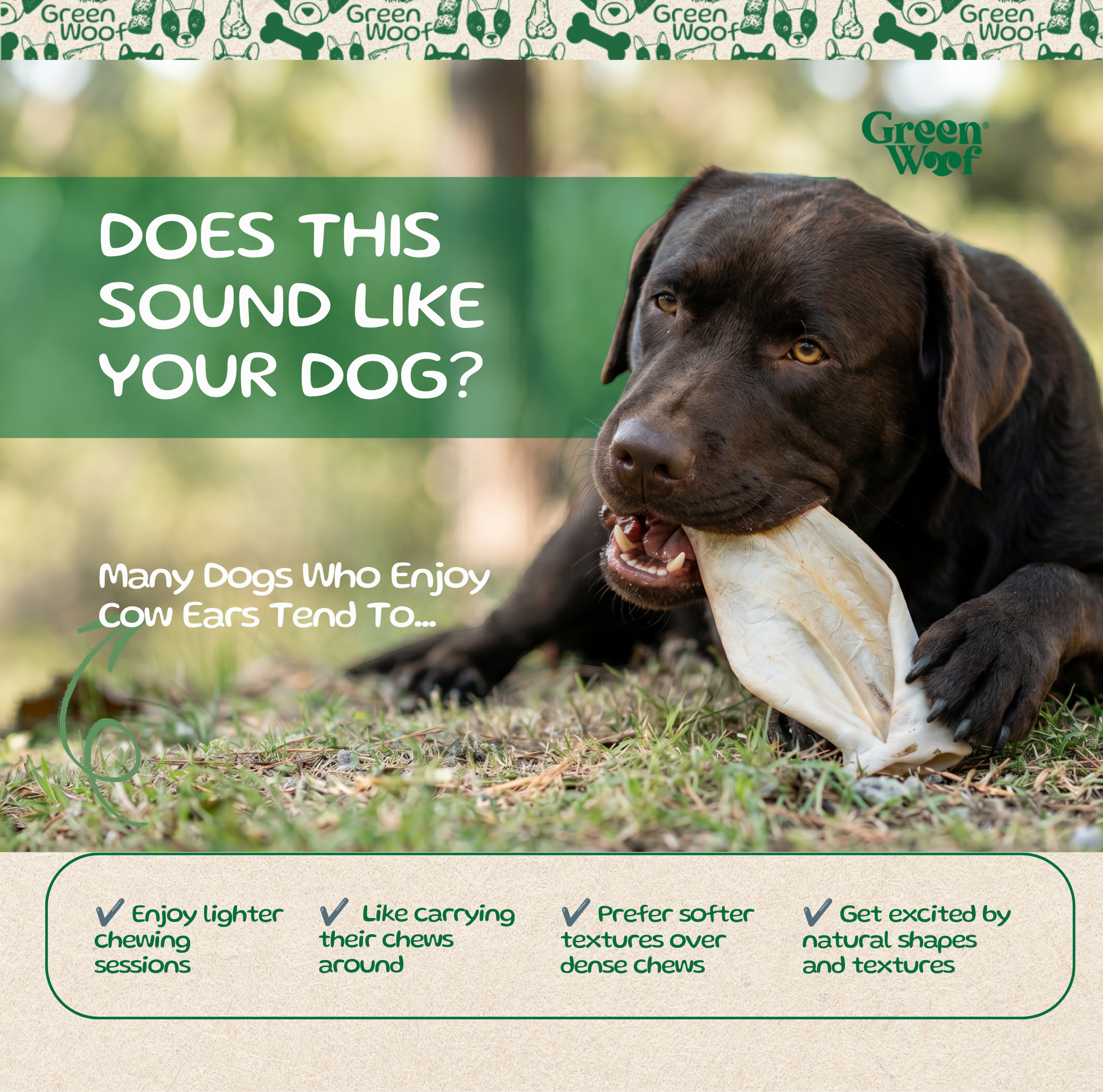 Green Woof Whole Cow Ears for Dogs