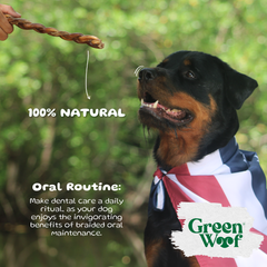 Green Woof Braided Beef Collagen Chews 5" – Long Lasting Dog Chew