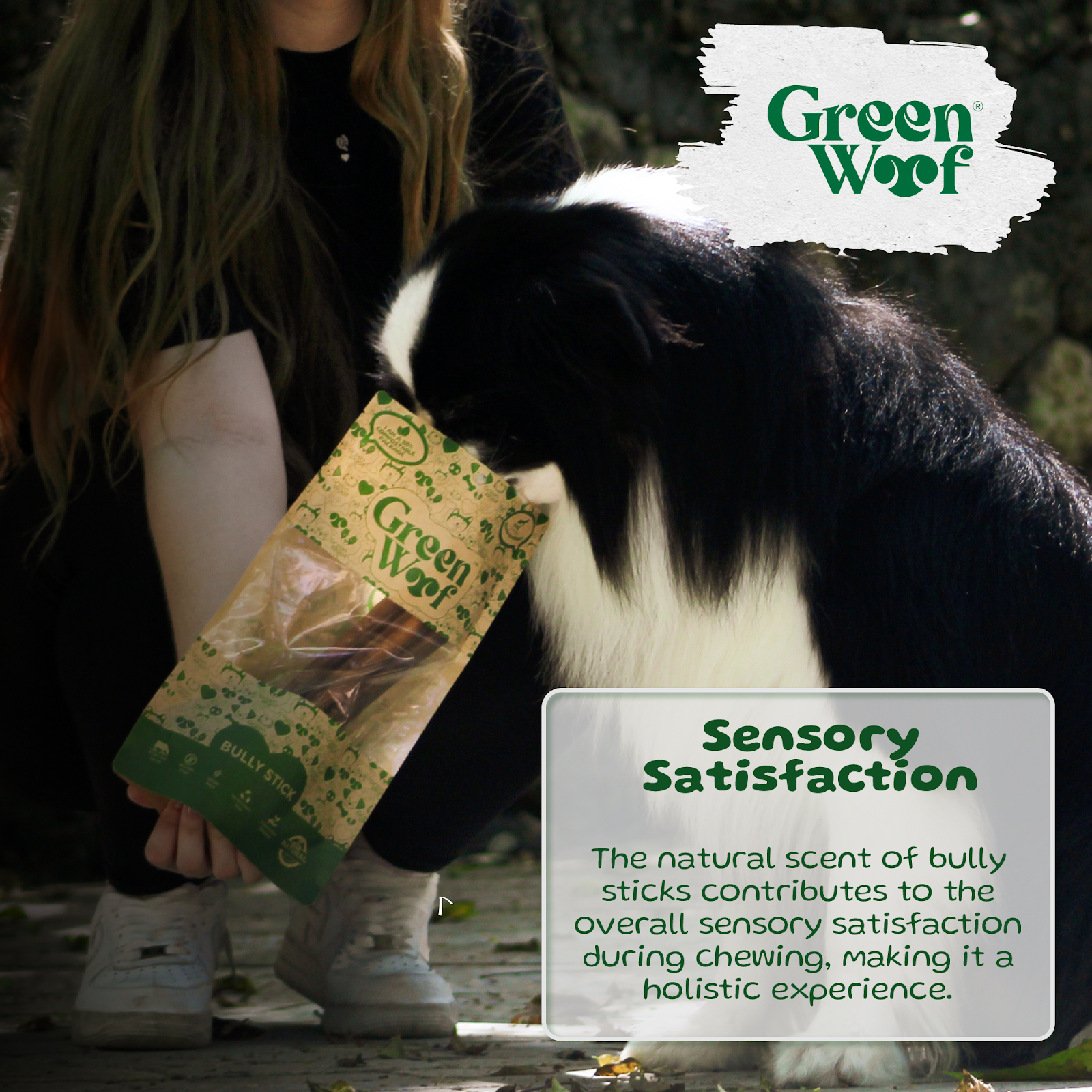 Straight Bully Sticks Natural Dog Chews