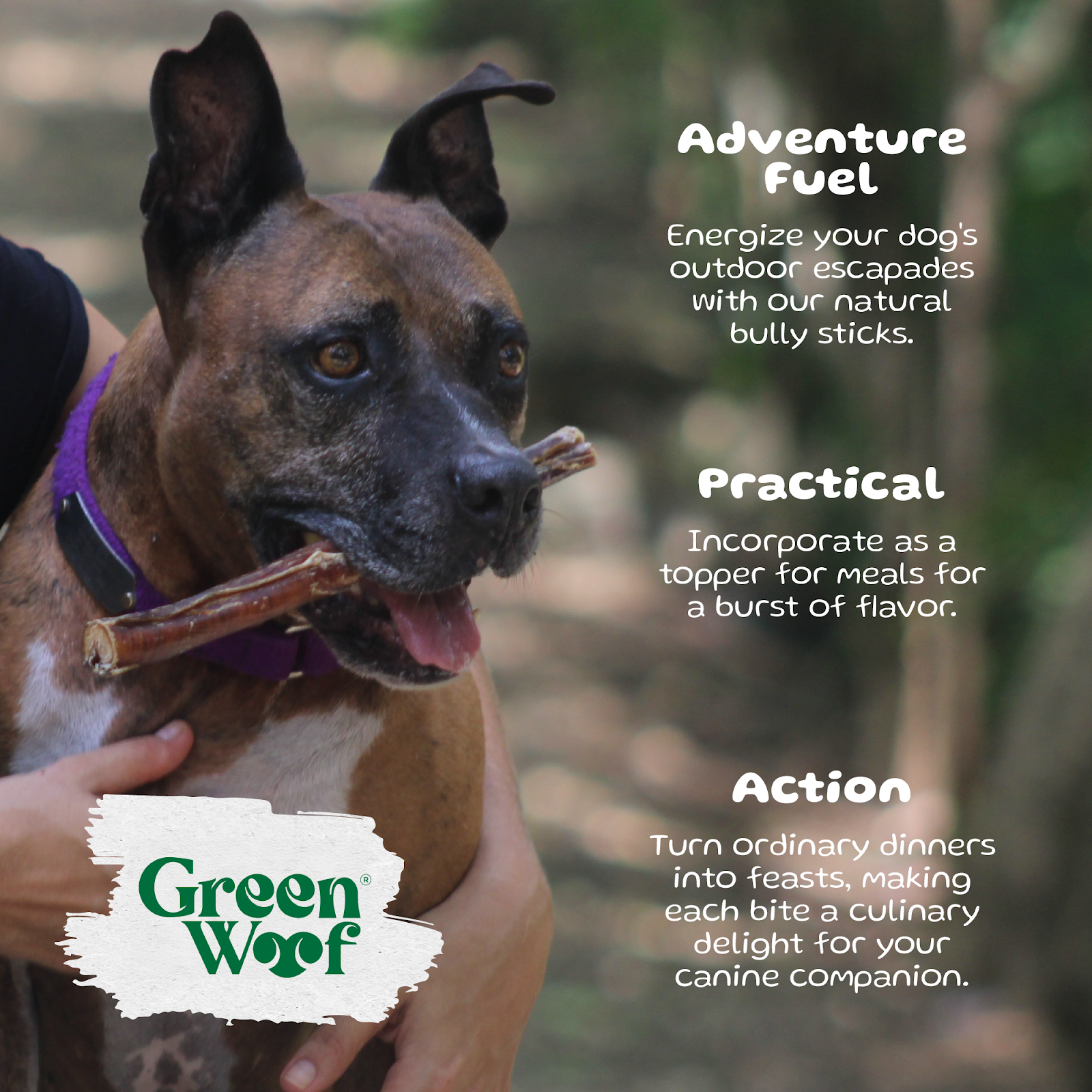 Straight Bully Sticks Natural Dog Chews