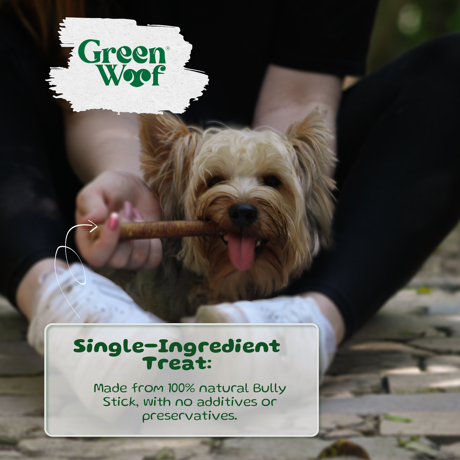 Straight Bully Sticks Natural Dog Chews