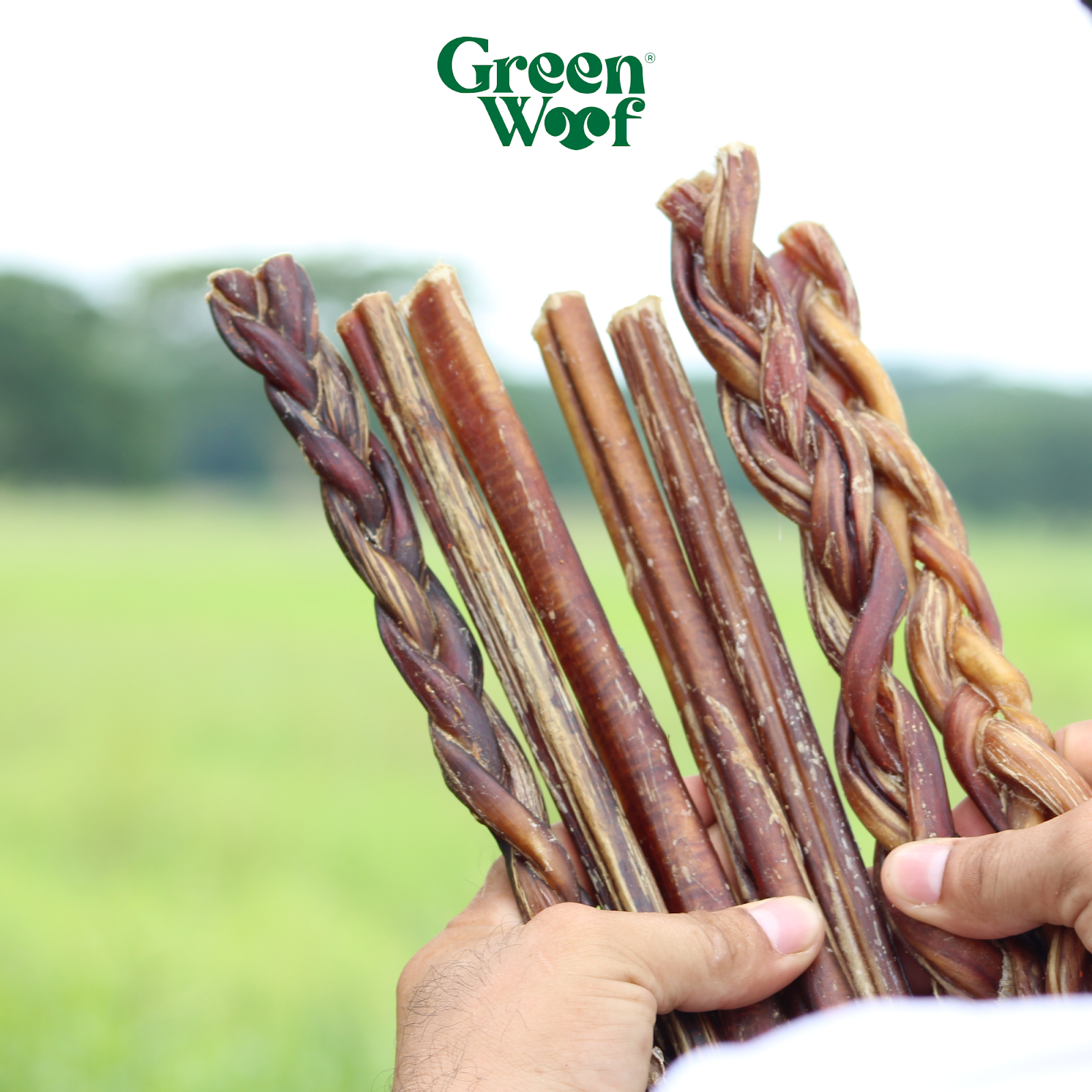 Green Woof Braided Beef Collagen Chews 5" – Long Lasting Dog Chew