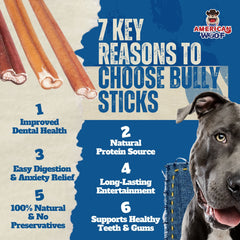 Natural Beef Bully Stick Dog Chew – High Protein Dental Treat