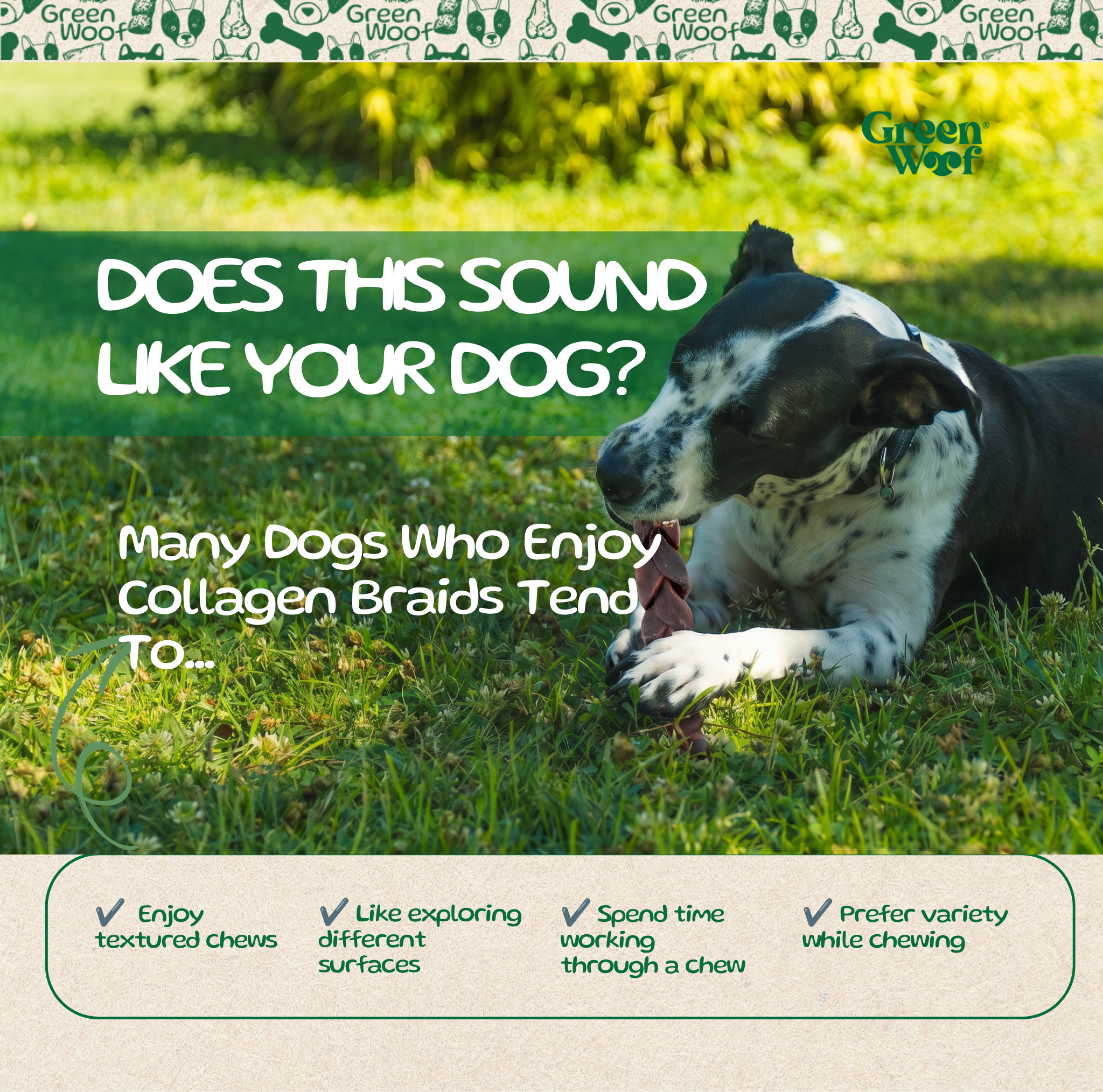 Green Woof Natural Beef Hide Braids for Dogs (6") – Long Lasting Rawhide Alternative