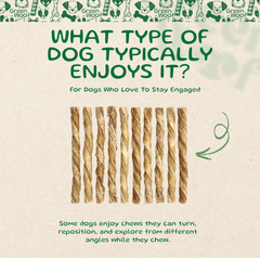 Green Woof Double Beef Bladder Sticks for Dogs (6") – Natural High Protein Chew