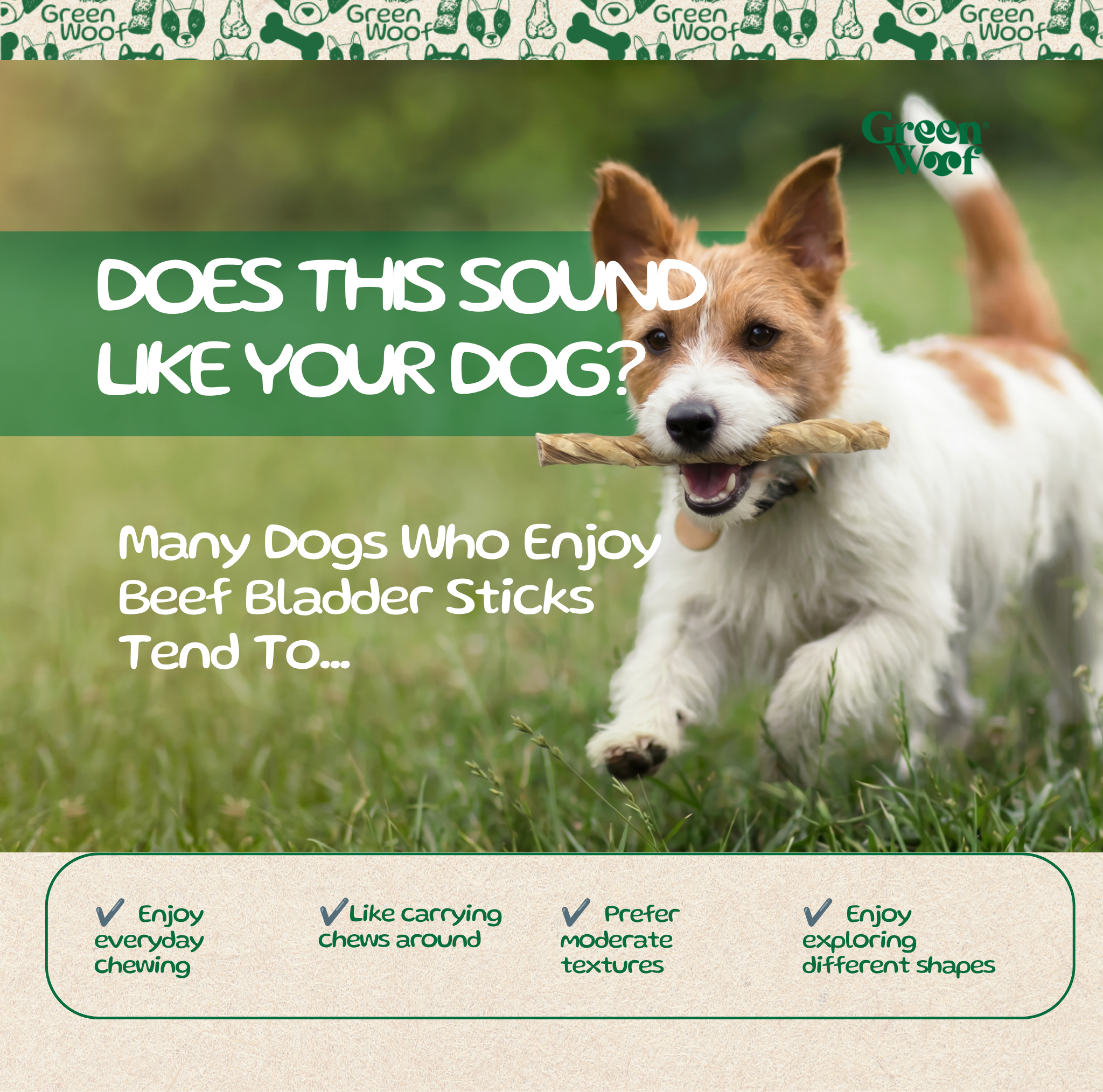 Green Woof Double Beef Bladder Sticks for Dogs (6") – Natural High Protein Chew