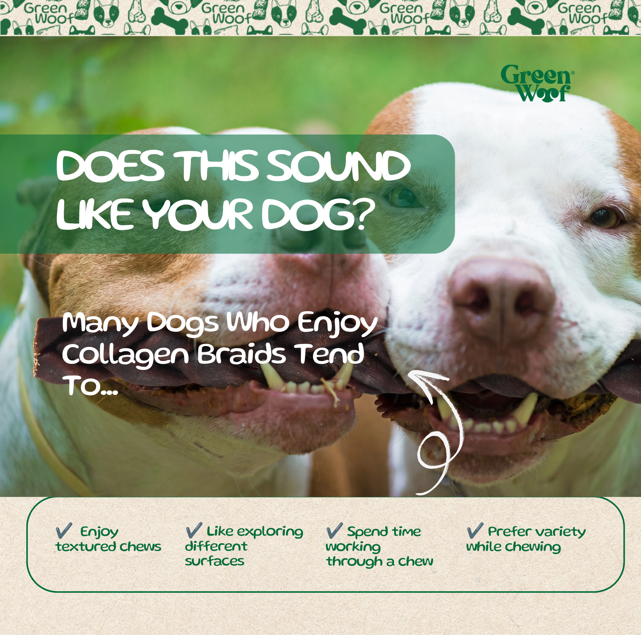 Green Woof Premium Beef Collagen Sticks for Large Dogs (12") –  Collagen Chew