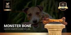 Woof Nific Titan Reserve Bone